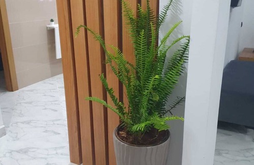 Marina Apartment | Charmant Logement à Saïdia