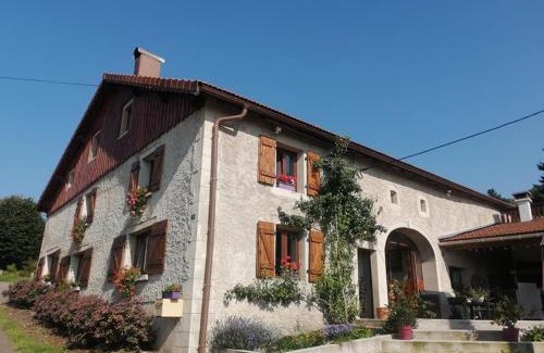 Le Tholy Apartment | Charmant meublé au calme, proche cascades, randos, chevaux, parking et terrasse privée, WiFi gratuit - FR-1-589-365