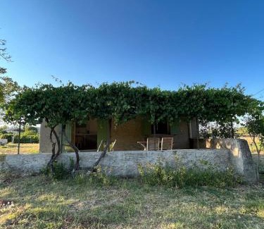 Montfort-sur-Argens House | Charmant Provençal Cabanon à Montfort-sur-Argens