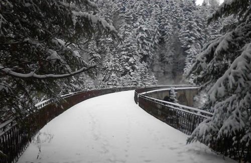 Saint-Priest-la-Prugne Apartment | Charmant studio en pleine nature, animaux admis - FR-1-496-224