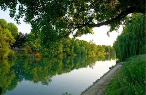 Buttes-Halage Apartment | Charmant studio Créteil proche Paris, Disneyland, hôpitaux, aéroports