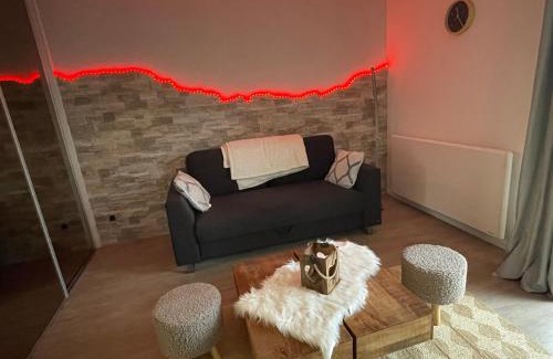 Klingenthal Apartment | Charmant studio en pleine nature