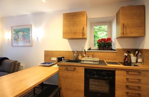 Mont-Dore Apartment | Charmant T2 au Mont-Dore, 38m², proche thermes, terrasse et wifi, résidence calme, parking à proximité - FR-1-608-252