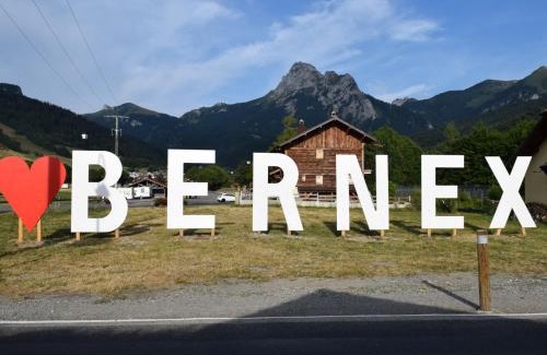 Bernex Apartment | Charmant T2 de 23m² à Bernex, proche pistes et randonnées, avec balcon et tout équipé - FR-1-498-34