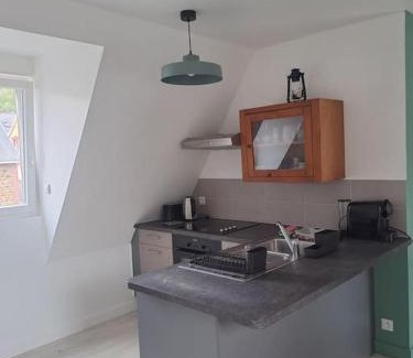 Binic Apartment | Charmant T3 lumineux à 2 pas des plages Appart 5