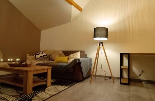 Novalaise House | Charmant Triplex plein centre