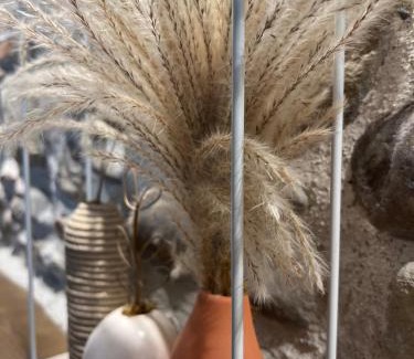 Guitalens-L'Albarede House | Charmante ferme familiale