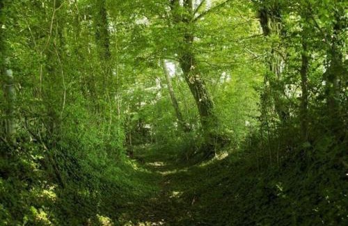 Pervencheres House | Charmante logère 18ème, forêt, animaux admis, 3+ nuits - FR-1-497-49