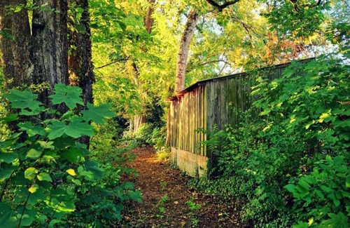 Fussy House | Charmante Maison Familiale au Coeur du Berry