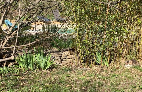 Goult House | Charmante maisonnette indépendante à Goult en Luberon