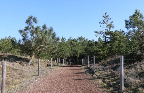 Saint-Brevin-les-Pins House | Charmante villa à 500m de la plage, calme et tout confort - FR-1-364-57