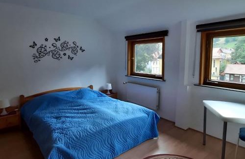 Wildemann Apartment | Charmantes Dachgeschoss-Refugium, Harz
