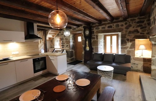 Saint-Jacques-des-Blats Cottage | Charming house with terrace and fireplace - Pets allowed