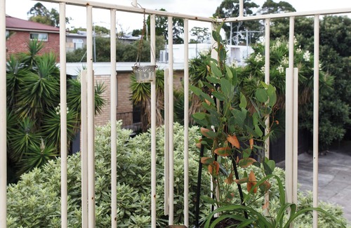 St. Kilda East Apartment | Charming 1-bedroom boutique apartment in lovely St Kilda East with WiFi, AC