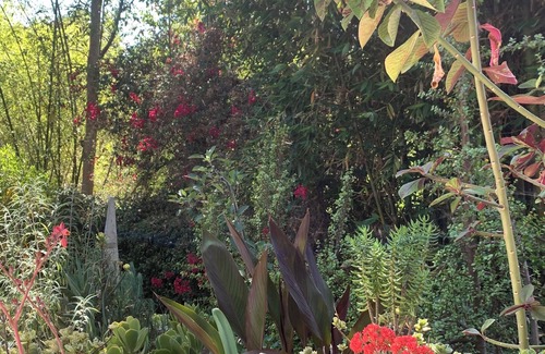 Downtown Los Angeles House | Charming 1-bedr in house with AC, WiFi surrounded by nature in heart of LA