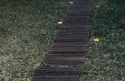 Aberdeen House | Charming 1-bedroom basement in enjoyable Aberdeen with WiFi, AC