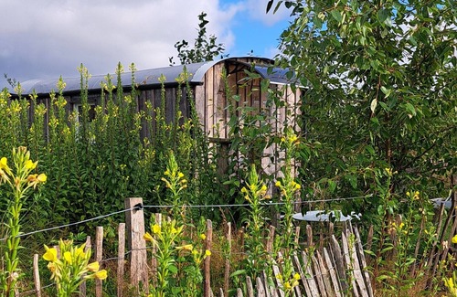 Karstadt Cabin | Charming 1-bedroom cabin in the fields near a small village.