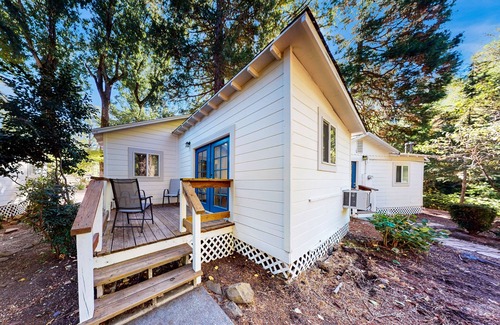 Cobb Condo | Charming 1 bedroom Cabin with King bed, Queen Sofa Sleeper, WIFI, Kitchen, Deck