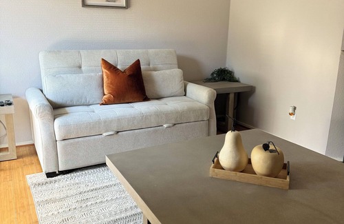 Lower Greenville Condo | Charming 1-bedroom condo with WiFi, AC in brilliant Dallas