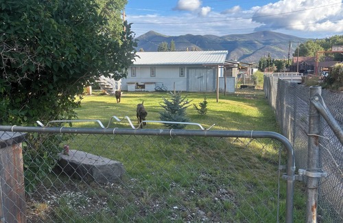 Creede House | Charming 1-bedroom house with heat and WiFi in delightful Creede