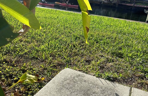Northeast Miami Apartment | Charming 1-bedroom waterfront apartment in wonderful Miami with WiFi, AC