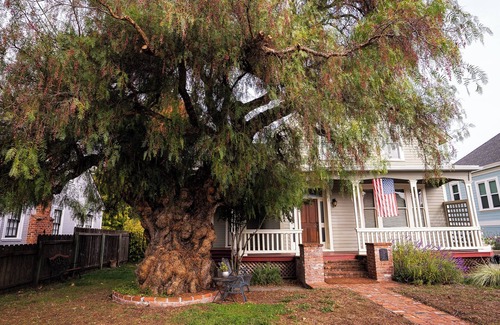 Petaluma House | Charming 1870 Farmhouse in the Heart of Petaluman
