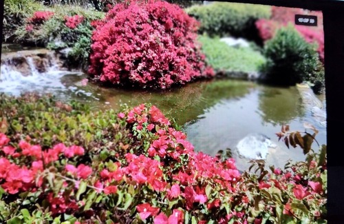 Carmel Valley Condo | Charming 2 bdrm condo, minutes to beach and parks, has pool, tennis, hot tubs.