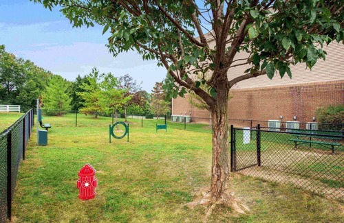 Lexington Apartment | Charming 2-Bed, 2-Bath Apartment