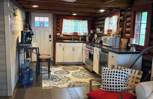 Houghton Lake Cabin | Charming 2-bedroom cabin with AC, WiFi in lovely Houghton Lake