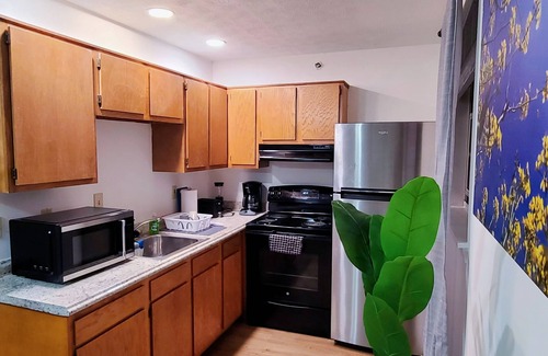 Downtown Apartment | Charming 2-bedroom apartment with AC, WiFi in brilliant Lexington