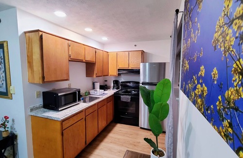 Downtown Apartment | Charming 2-bedroom apartment with AC, WiFi in brilliant Lexington