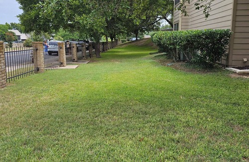 Barton Hills Condo | Charming 2-bedroom condo in Zilker Park ~ Steps from Barton Springs Pool