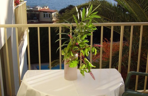 Pointe Croisette Apartment | Charming 2 room apartment, small terrace with sea view