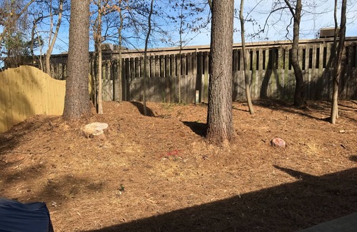 Smyrna House | Charming 2BR/2BA Townhome - SLEEPS 6 - Pet-Friendly Retreat