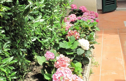 Santa Maria Novella Apartment | Charming 3-bedroom Apartment Garden gazebo AC, WiFi in delightful Center Firenze
