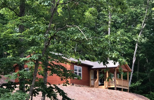 Candler Cabin | Charming 3-bedroom cabin with AC and WiFi
