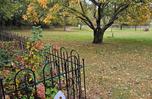 Cornland Cottage | Charming 3-bedroom cottage with WiFi and AC in fantastic Riverton