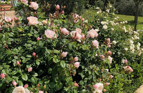 Seillans House | Charming 3-bedroom house in Seillans with WiFi and AC