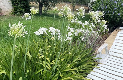 Seillans House | Charming 3-bedroom house in serene Seillans with AC, swimming pool,