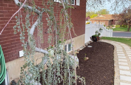 Layton House | Charming 3-bedroom private basement suite in Layton with everything you'll need.