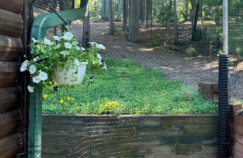 Eagle River Cabin | Charming 3-bedroom cabin with WiFi, AC in lovely Eagle River sleeps 8 people.