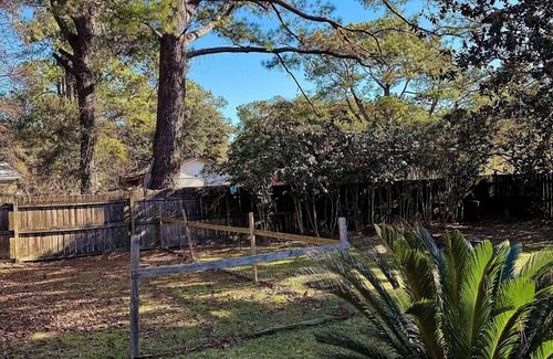 Summerville Historic District House | Charming 3-bedroom house with WiFi lrg bkyrd nHeated enclosed porch