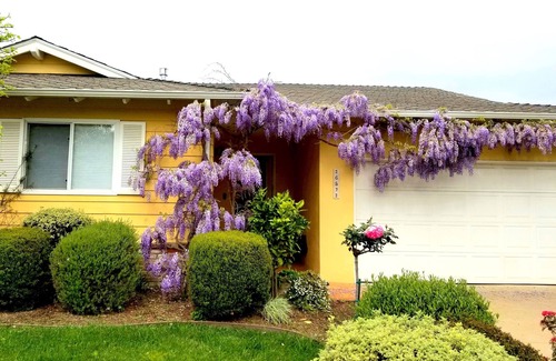 Carmel House | Charming 3 BR Carmel Home w/Large Garden Patio