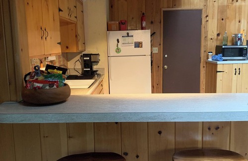 Fern Valley Cabin | Charming 3-bedroom cabin in Idyllwild-Pine Cove with WiFi