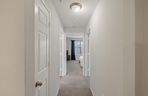 Athens Apartment | Charming 3BR Athens Abode Near UGA and Downtown