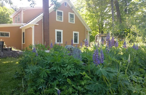 Bethlehem House | Charming 4-bedroom house in marvelous Bethlehem with wifi