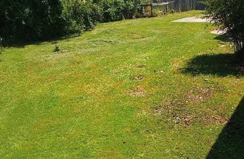 Piney Green House | Charming 4-bedroom house with AC, WiFi in lovely Jacksonville