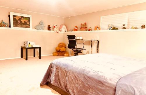 North Glenmore House | charming and stylish private guest house