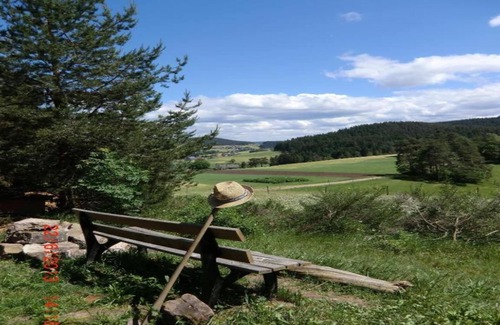 Meisdorf Apartment | Charming Apartment, Harz Region