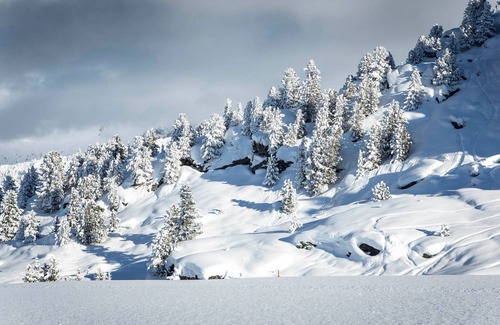 Courchevel Apartment | Charming Apartment in Courchevel with Parking and Wifi, Ski-in/Ski-out, Sleeps 6